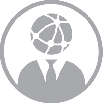 Global Technology Consultant